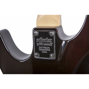 Электрогитара SCHECTER Demon-6 FR CRB