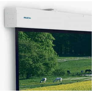 Экран для дома, настенно потолочный с электроприводом Projecta Compact Electrol 213x280 Matte White (10100078)