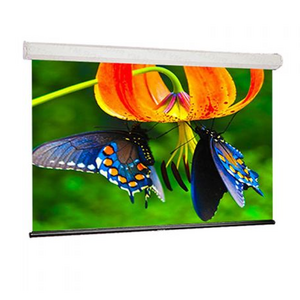 Экран для проектора Draper Luma HDTV (9:16) 185/73 91x163 XT1000E (MW) ebd 12 case white