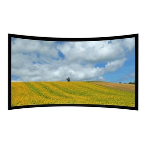 Экран для проектора Lumien Cinema Home Curved 214x370 см LCH-100114