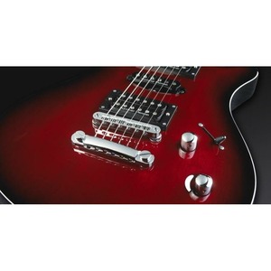 Электрогитара FRAMUS PANTHERA STUDIO Burgundy Blackburst Glosstop