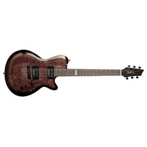 Электрогитара Godin 31047