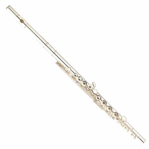 Флейта Yamaha YFL-471(II)/02
