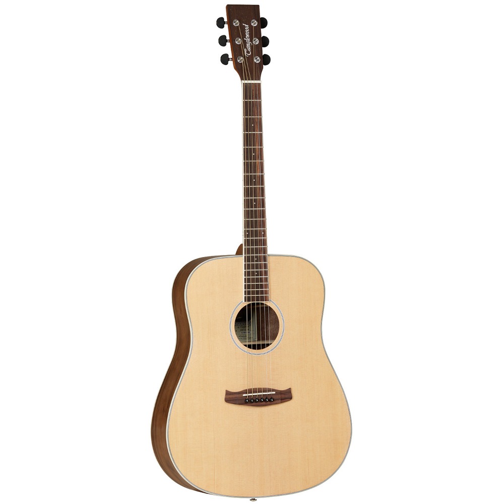 Акустическая гитара Tanglewood DBT-D-BW