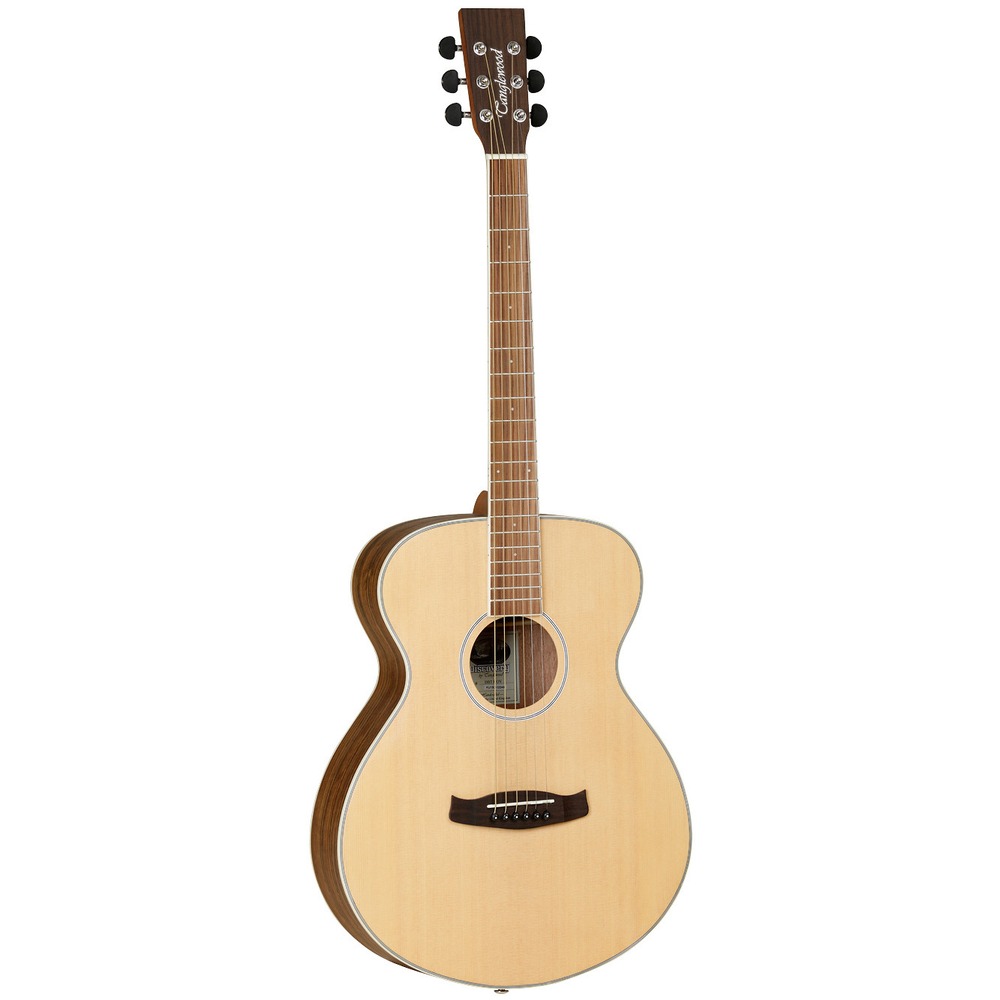 Акустическая гитара Tanglewood DBT-F-OV