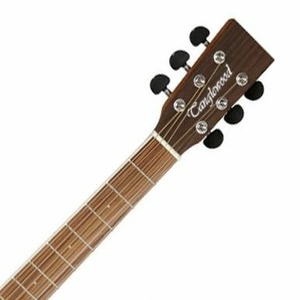 Акустическая гитара Tanglewood DBT-F-OV