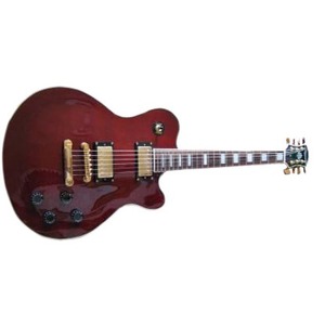 Электрогитара Les Paul ALINA PRO MISSISSIPPI Special VC