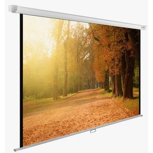 Экран для проектора ViewScreen Breston (4:3) 406*305 (394*293) MW