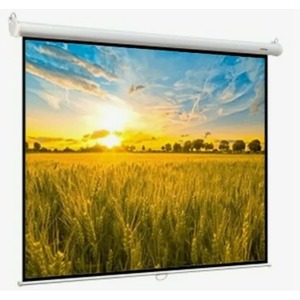 Экран для проектора Digis Optimal B 160x160 inch 86 1:1 MW DSOB-1102