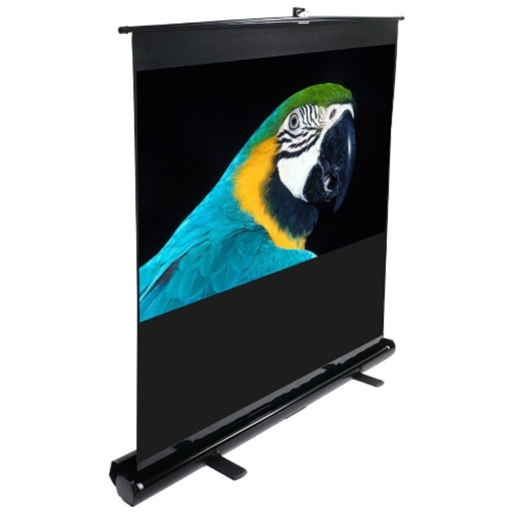 Elite Screens m100nwv1