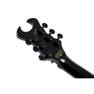 Электрогитара SCHECTER SYNYSTER CUSTOM-S BLK/SILVER