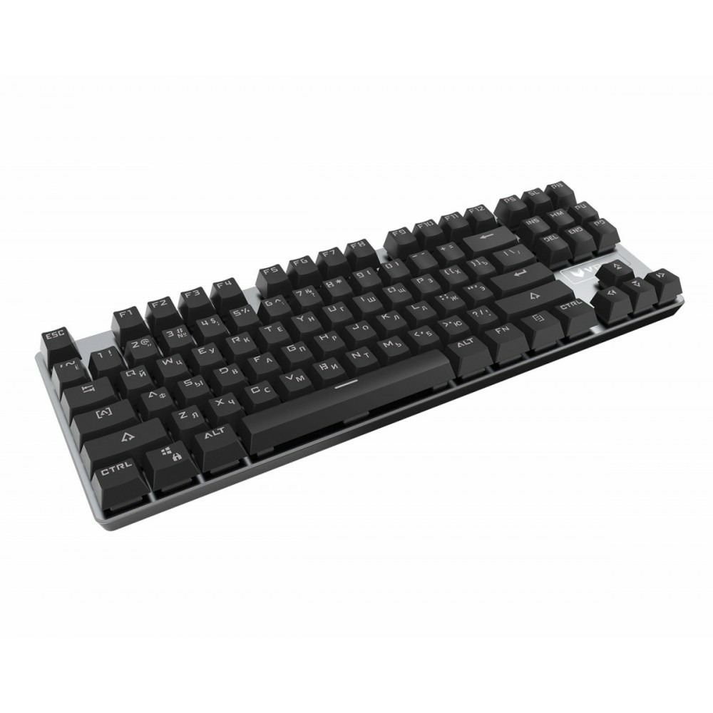 rapoo v500 alloy tkl