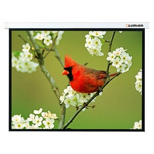 Экран для проектора Lumien Master Picture CSR 141x176см 84 Matte White LMP-100102CSR