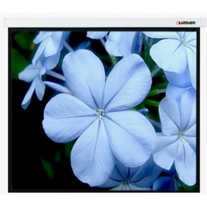 Экран для проектора Lumien Master Large Control 299x510см 225 Matte White FiberGlass LMLC-100104A