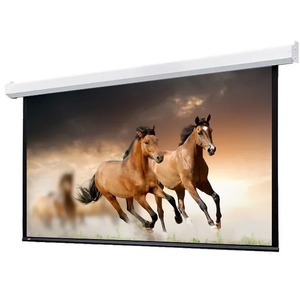 Экран для проектора Lumien Master Large Control 299x510см 225 Matte White FiberGlass LMLC-100104A