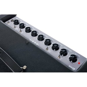 Басовый комбо Blackstar Unity 250 Bass U250