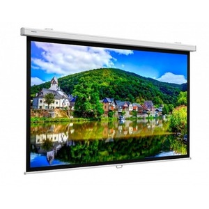 Экран для дома, настенно потолочный с электроприводом Lumien Master Control 163x220 LMC-100213