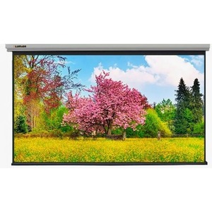 Экран для дома, настенно потолочный с электроприводом Lumien Master Control 163x220 LMC-100213