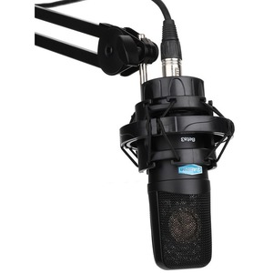 Микрофон студийный конденсаторный Alctron Beta3