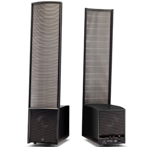 Напольная акустика Martin Logan Expression ESL 13A Gloss Black