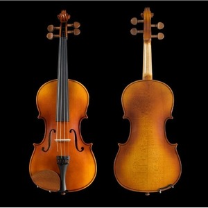 Скрипка 4/4 Pearl River PR-V01 4/4