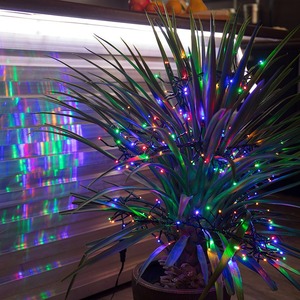 Гирлянда «Кластер LED» Neon-Night 303-629 3 м, темно-зеленый ПВХ IP20, 288 диодов, цвет мультиколор