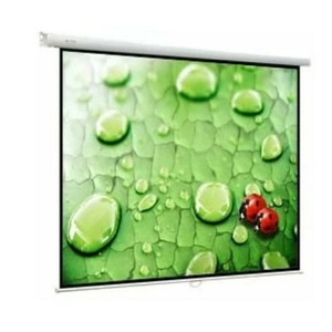 Экран для проектора ViewScreen Lotus 16:10 280х179 270х169 MW