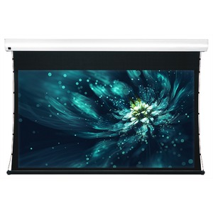 Экран для дома, настенно потолочный с электроприводом ViewScreen Premium 16:9 106" 234х132 White Casing