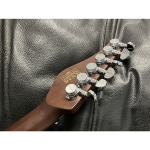 Электрогитара SCHECTER JACK FOWLER TRAD HT IVORY