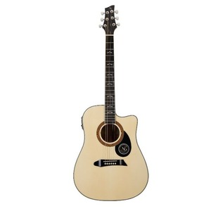 Электроакустическая гитара NG GT600-E NA