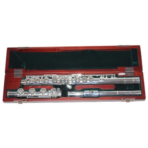 Флейта Pearl Flute Flute Dolce PF-695RBE