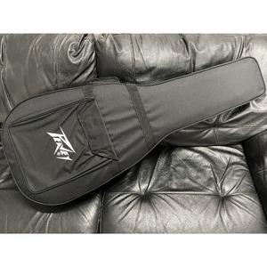 Электроакустическая гитара PEAVEY DW-2 CE Solid Top Cutaway w/Case