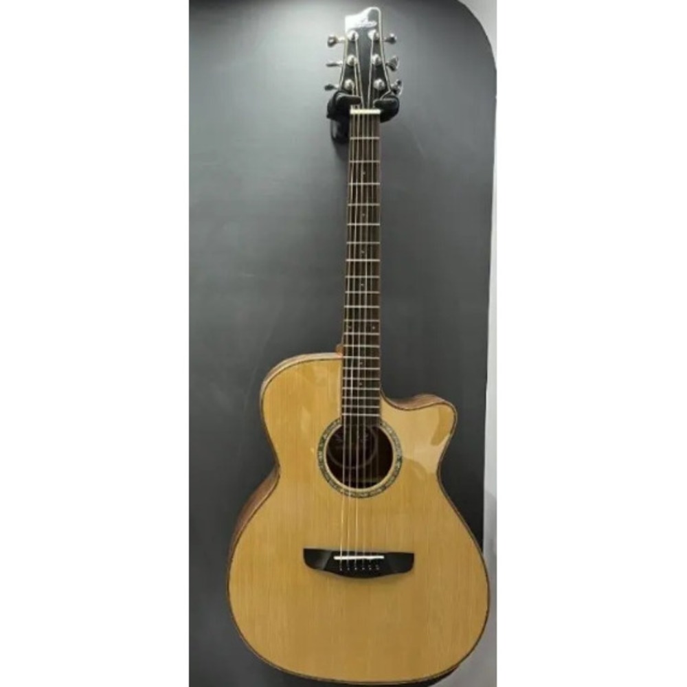 Акустическая гитара IZ S-S8-GA-N
