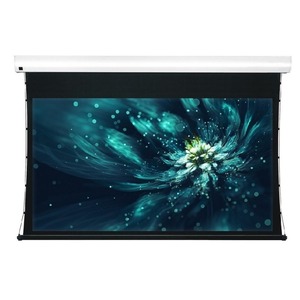 Экран для дома, настенно потолочный с электроприводом ViewScreen Premium 16:9 133" 294*165 размер белого поля White Casing