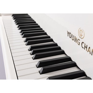 Рояль акустический Young Chang YC158E WHP