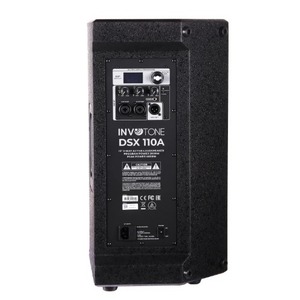 Активная акустическая система Invotone DSX110A