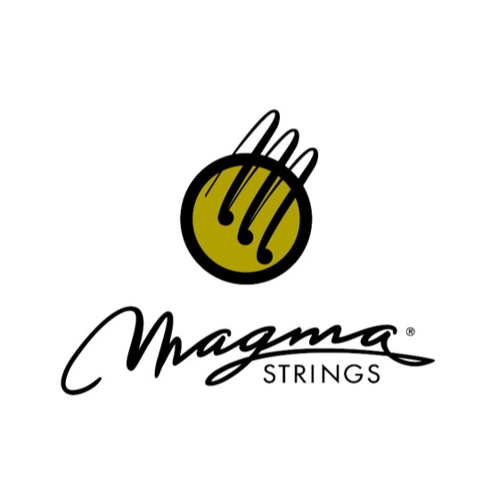 Струны для акустической гитары Magma Strings GA010PB