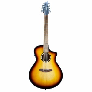 Электроакустическая гитара Breedlove Discovery S Concert Edgeburst 12 String CE