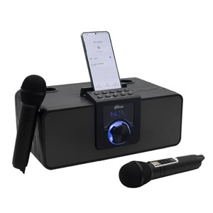 Портативная акустика Ritmix SP-660B black