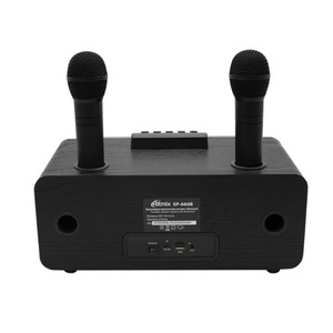 Портативная акустика Ritmix SP-660B black