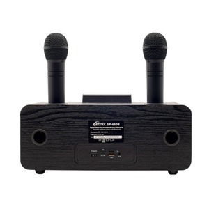 Портативная акустика Ritmix SP-660B black