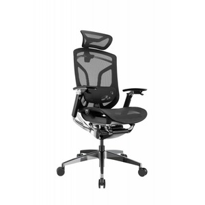 Кресло игровое GT Chair Dvary Pro X черный