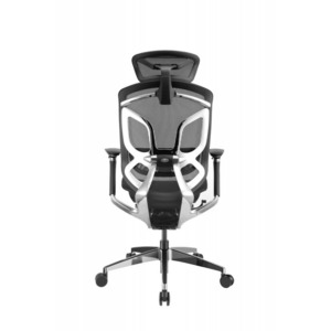 Кресло игровое GT Chair Dvary Pro X черный