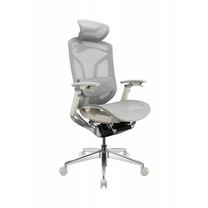 Кресло игровое GT Chair Dvary Pro X серый