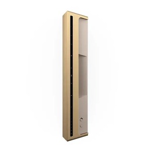 Портативная акустика Bang & Olufsen Beosound Level Gold Tone Alu/Light Oak