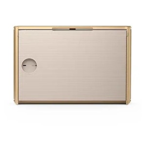 Портативная акустика Bang & Olufsen Beosound Level Gold Tone Alu/Light Oak